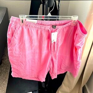 H&M NEW Pink Shorts (3XL)